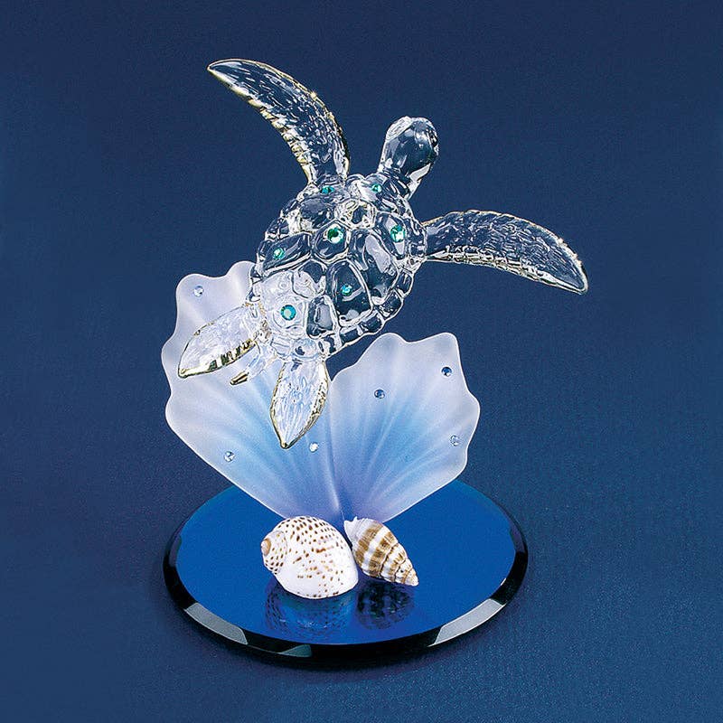 Sea Turtle on Blue Coral
