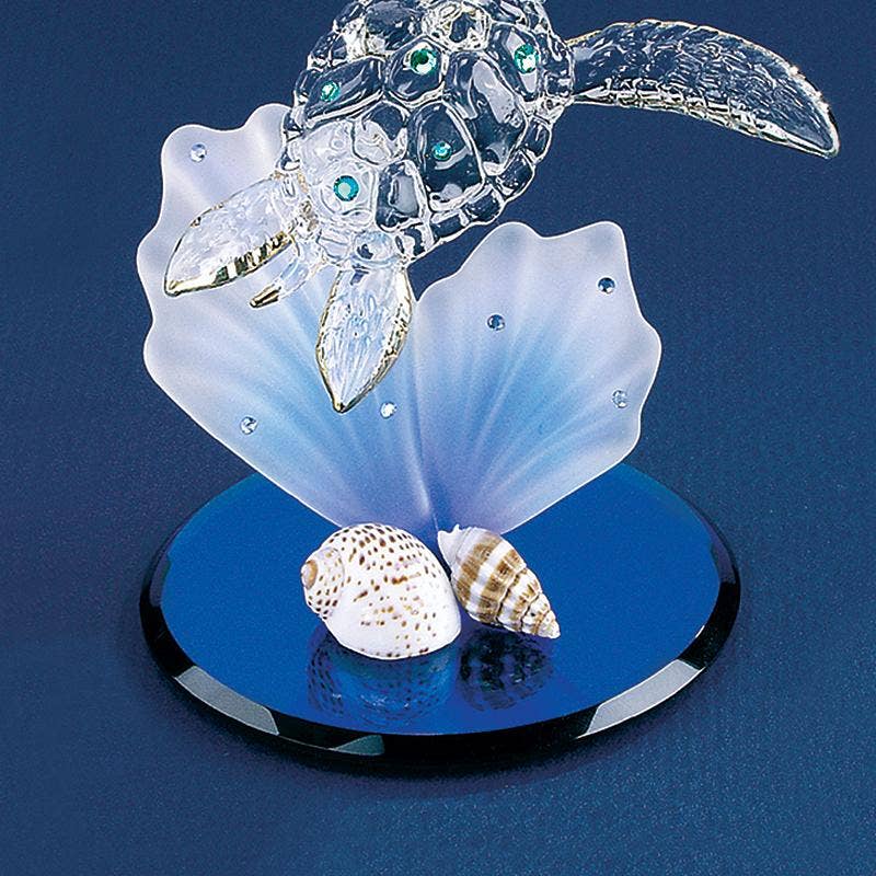 Sea Turtle on Blue Coral