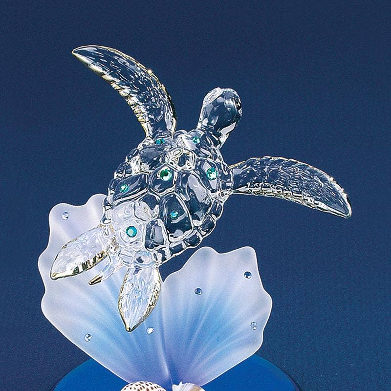 Sea Turtle on Blue Coral