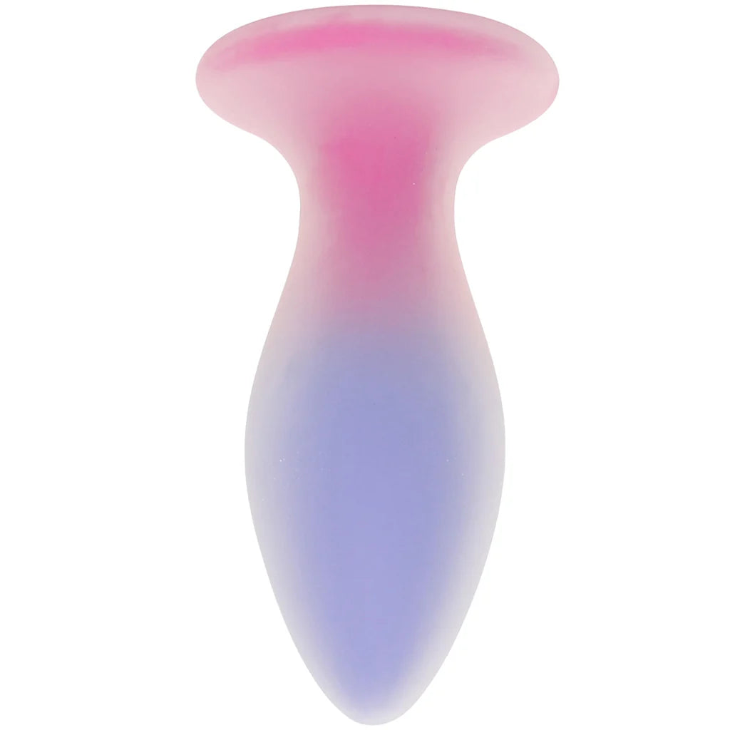 Evolved Paradise Remote Vibrating Butt Plug – Pink & Blue