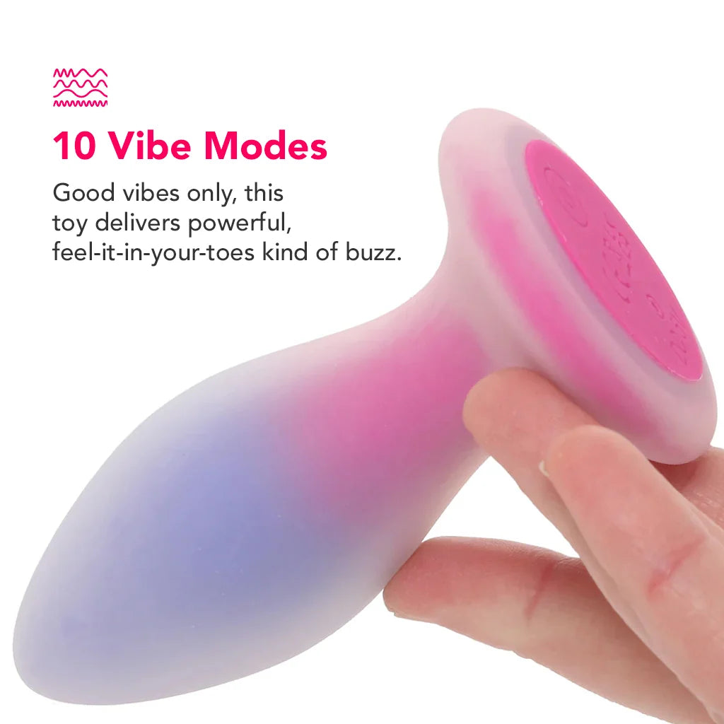 Evolved Paradise Remote Vibrating Butt Plug – Pink & Blue